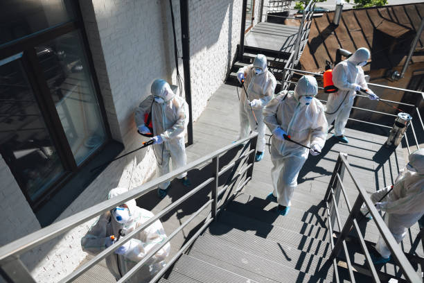 Best Black Mold Removal  in Pella, IA
