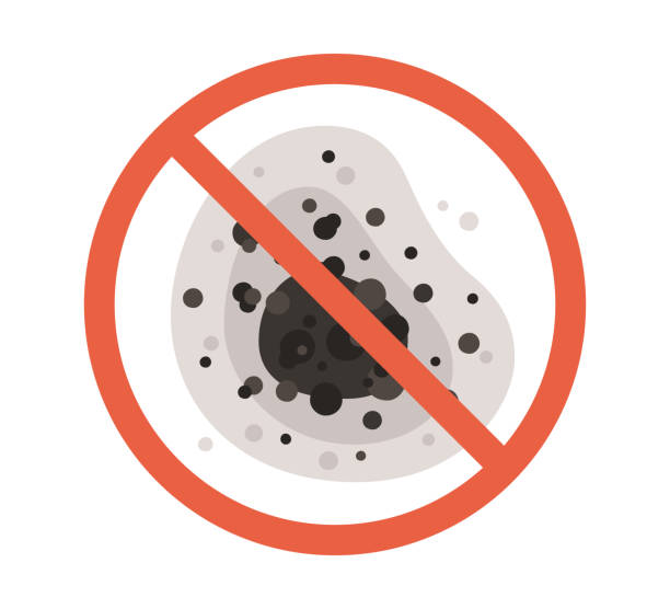 Best Real Estate Mold Inspection  in Pella, IA