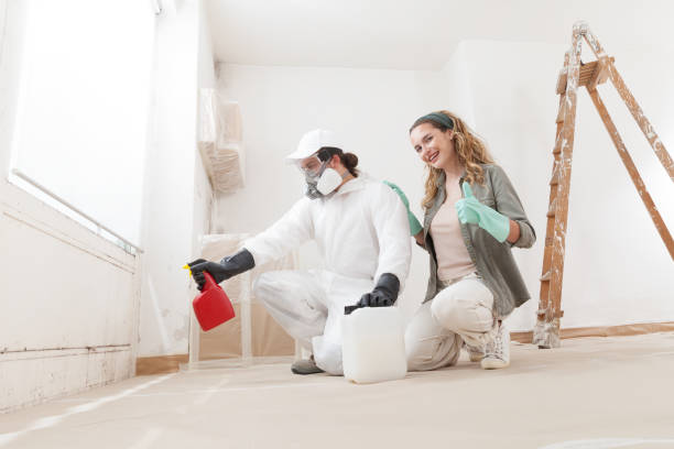 Best Mold Removal for HVAC Installations  in Pella, IA