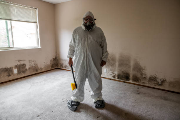 Best Mold Prevention Services  in Pella, IA